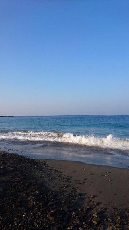 ジグサビキさまさま