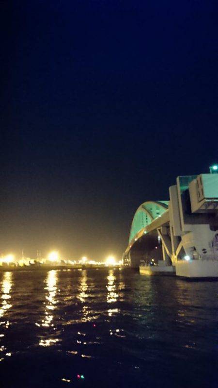 ジグパラマイクロ大活躍！！