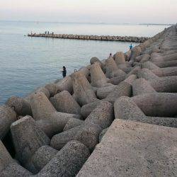 久しぶりの太刀魚