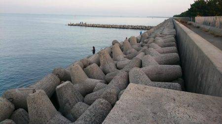 久しぶりの太刀魚