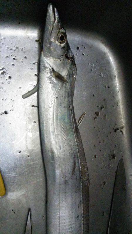 ドラゴンを求めて3