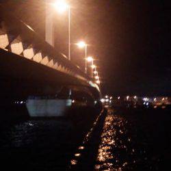 ボトムをちょんちょん