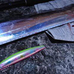 ルアーで太刀魚