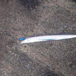 サーベルハンター