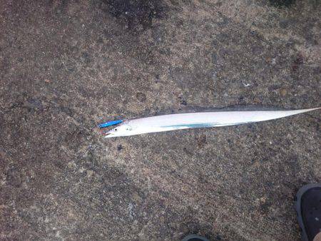 サーベルハンター