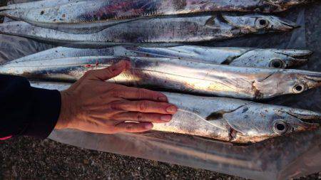 朝まずめアタリ多し