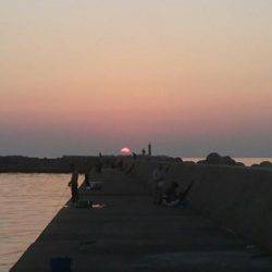 11月突入、気温は下がるが海水温はまだ高め、釣り日和ですね