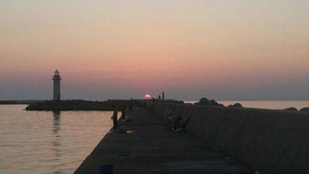 11月突入、気温は下がるが海水温はまだ高め、釣り日和ですね