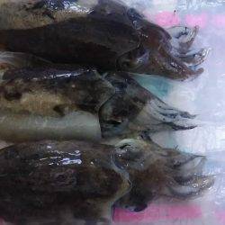 そろそろ釣れるかな