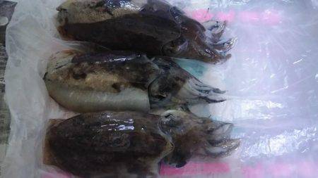 そろそろ釣れるかな