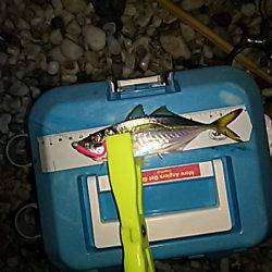 シャローアジング