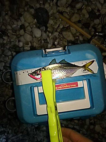 シャローアジング