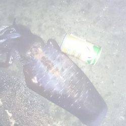 アオリイカ大型狙いで