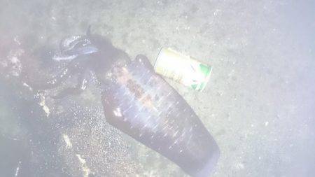 アオリイカ大型狙いで