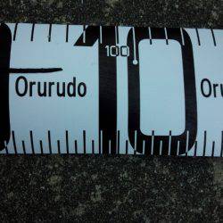 南港初ポイントへ