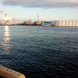 寒い中….それなりに