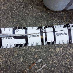 アンチョビでドラゴン