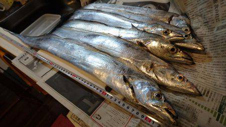 タチウオフィーバー