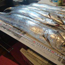 ドラゴンフィーバー