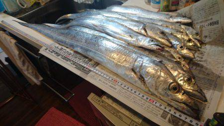 ドラゴンフィーバー