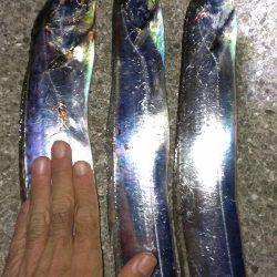 昨日のリベンジ