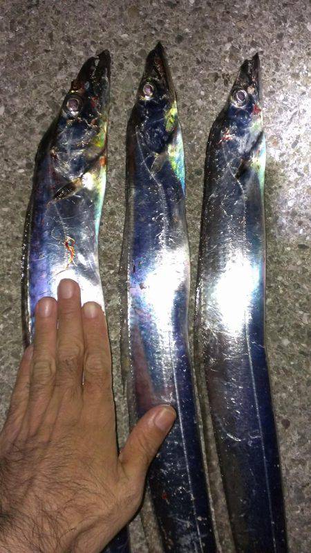 昨日のリベンジ