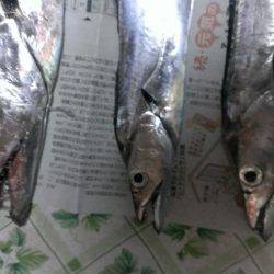 ドラゴン(級)ゲット！