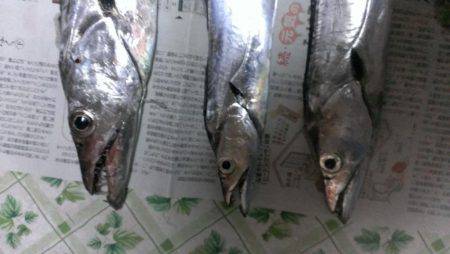 ドラゴン(級)ゲット！