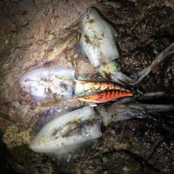 そろそろホゲるかと…