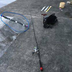 朝マズメ　時合短し！！