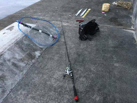 朝マズメ　時合短し！！