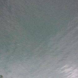 タチウオまだいける