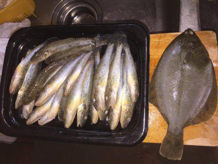 33年ぶりのカレイ！