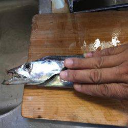 むむむ・・無念!