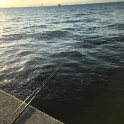 太刀とチーバス