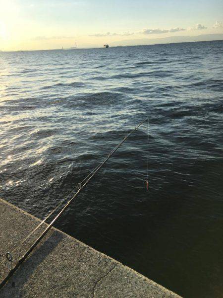 太刀とチーバス