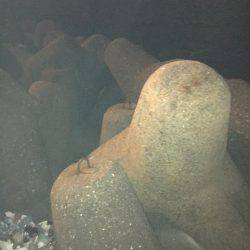 アジングは楽しい