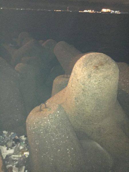 アジングは楽しい