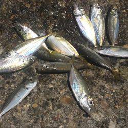 あからさま過ぎです(● ˃̶͈̀ロ˂̶͈́)੭ꠥ⁾⁾