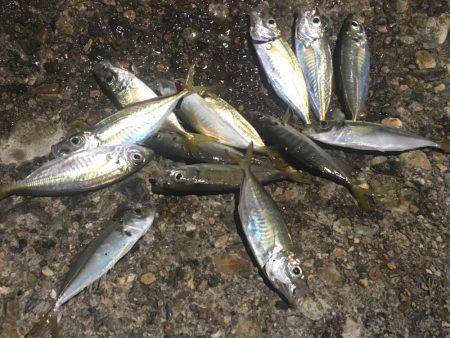 あからさま過ぎです(● ˃̶͈̀ロ˂̶͈́)੭ꠥ⁾⁾