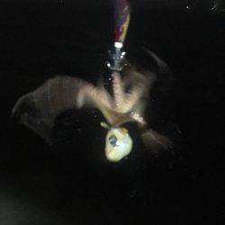 とにかく1杯❗️