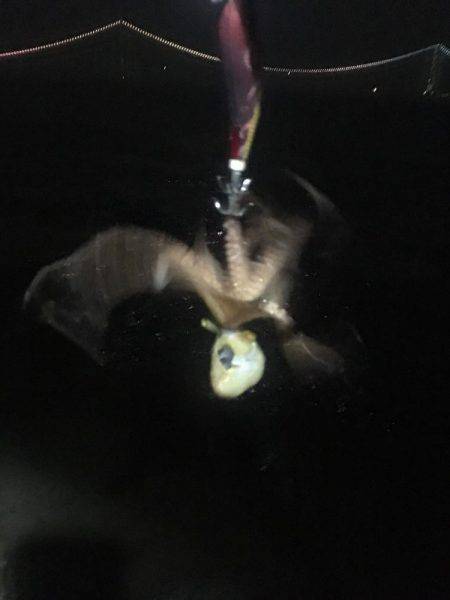 とにかく1杯❗️