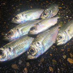 大雨だとダメなのか?!