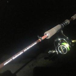 午前3時から朝までの予定でしたが。