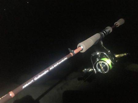 午前3時から朝までの予定でしたが。