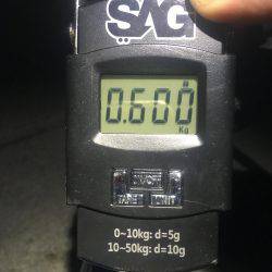 何処に潜んでるんだ？