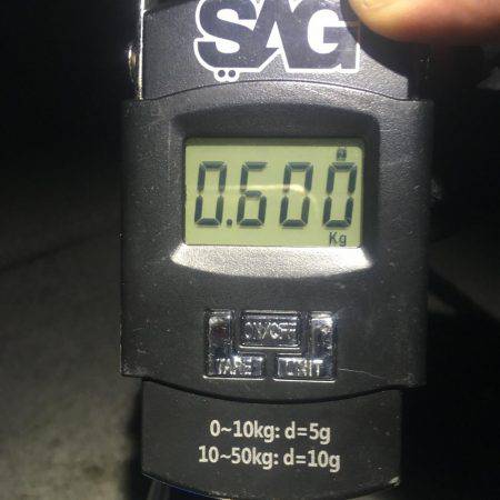 何処に潜んでるんだ？