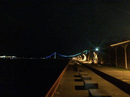 マダイのはずがメバル