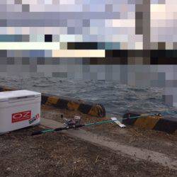 渋いアタリをなんとか拾いました