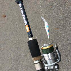 太刀魚ゲッツ！